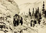 Carl Rungius, Out of the Canyon, Etching