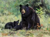 Ken Carlson, Down Time