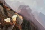 Michael Coleman, On the South Fork – Rocky Mountain Goats, Oil on board