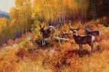 Jim Norton, Wyoming Mulies, Oil on canvas