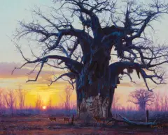 John Banovich, Baobab at Sunset, Oil on canvas