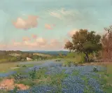 Porfirio Salinas, Bluebonnets Near New Braunfels