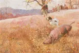 John Clymer, Quail Rooter