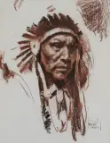 Harley Brown, Bull Plume, Pastel