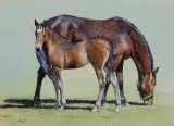 John Fawcett, Momma’s Pride, Watercolor