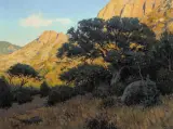 Ralph Oberg, Chiracahua White Oak, Oil on linen