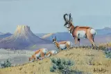 Les Kouba, Pronghorns Working the Ridge, Watercolor