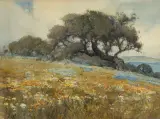 Percy Gray, Oak Tree and Wild Flowers, Watercolor
