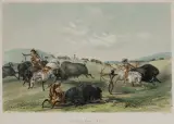George Catlin, Buffalo Hunt Chase, Lithograph