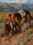 Jason Rich, Desert Packer