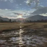 Tom Browning, After the Rains