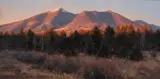 Jessica Garrett, Sweeping Sunlight, Oil on board