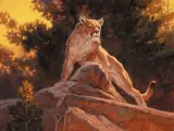 Roy Andersen, The Lion is Busy, Oil on canvas
