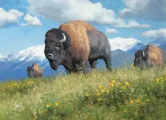 Kyle Sims, Montana Summer, Oil on canvas