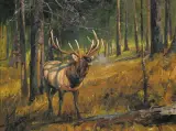 Luke Frazier, September Morning