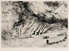 Wilhelm Kuhnert, Tiger, Etching, edition 76/100