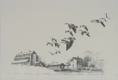 Terry Redlin, Migrating Honkers Sketch, Graphite