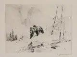 Carl Rungius, Lord of the Canyon, Etching