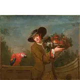 Paolo Borroni, Ragazzo con frutta e pappagallo, oil on canvas