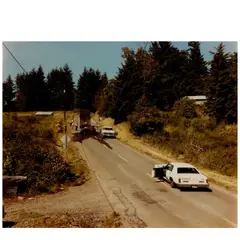 Joel Sternfeld, 'Exhausted Renegade Elephant, Woodland, Washington, June 1979', 1979, Chromogenic print