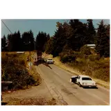 Joel Sternfeld, 'Exhausted Renegade Elephant, Woodland, Washington, June 1979'