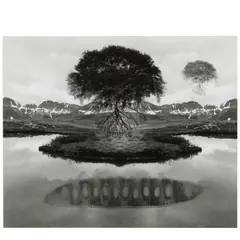 Untitled (Floating Tree) by Jerry Uelsmann, 1969, Gelatin silver print, offered Apr 2025