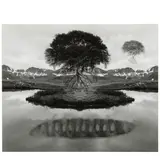 Jerry Uelsmann, Untitled (Floating Tree), 1969, Gelatin silver print