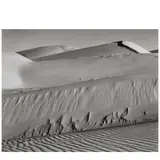Edward Weston, Dunes, Oceano, 1936, Gelatin silver print