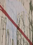 Larry Poons, Graphics, Lithograph