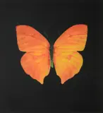 Damien Hirst, The Souls On Jacob'S Ladder, Etching