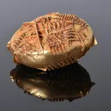 Arnaldo Pomodoro, Sasso, Bronze Sculpture