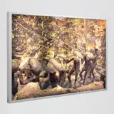 Alfredo Jaar, Gold In The Morning, Photograph Lightbox