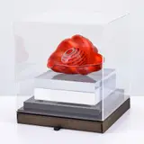 Dale Chihuly, Chinese Red Seaform, Sculpture & Book