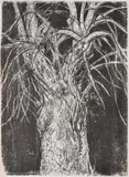Big Black & White Tree by Jim Dine, Woodcut, sold Feb 2024