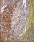 Robert Lawrance Lobe, Abstract, Monoprint
