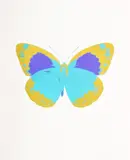 Untitled by Damien Hirst, Print, sold May 2023
