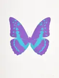 Untitled by Damien Hirst, Print, sold May 2023