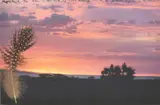 Peter Beard, SUNSET Pigment