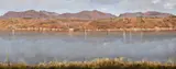 Joellyn Duesberry, Landscape, Painting