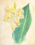 Joseph Stella, Floral, Mixed Media Drawing