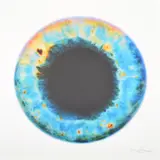 Marc Quinn, Untitled