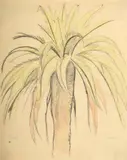 Joseph Stella, Palm Tree, Drawing