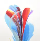 Paul Jenkins, Phenomena