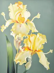 Lowell Nesbitt, Iris, Painting