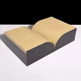 Richard Artschwager, Book
