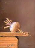 Scott Fraser, Hyperrealist Still Life, Painting