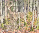 Neil Welliver, Untitled, Etching