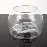 Do Ho Suh, Norton Family Commission, Glass Sculpture