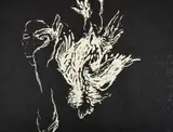 Susan Rothenberg, Untitled, Woodcut