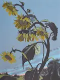 Sondra Freckelton, Untitled, Lithograph